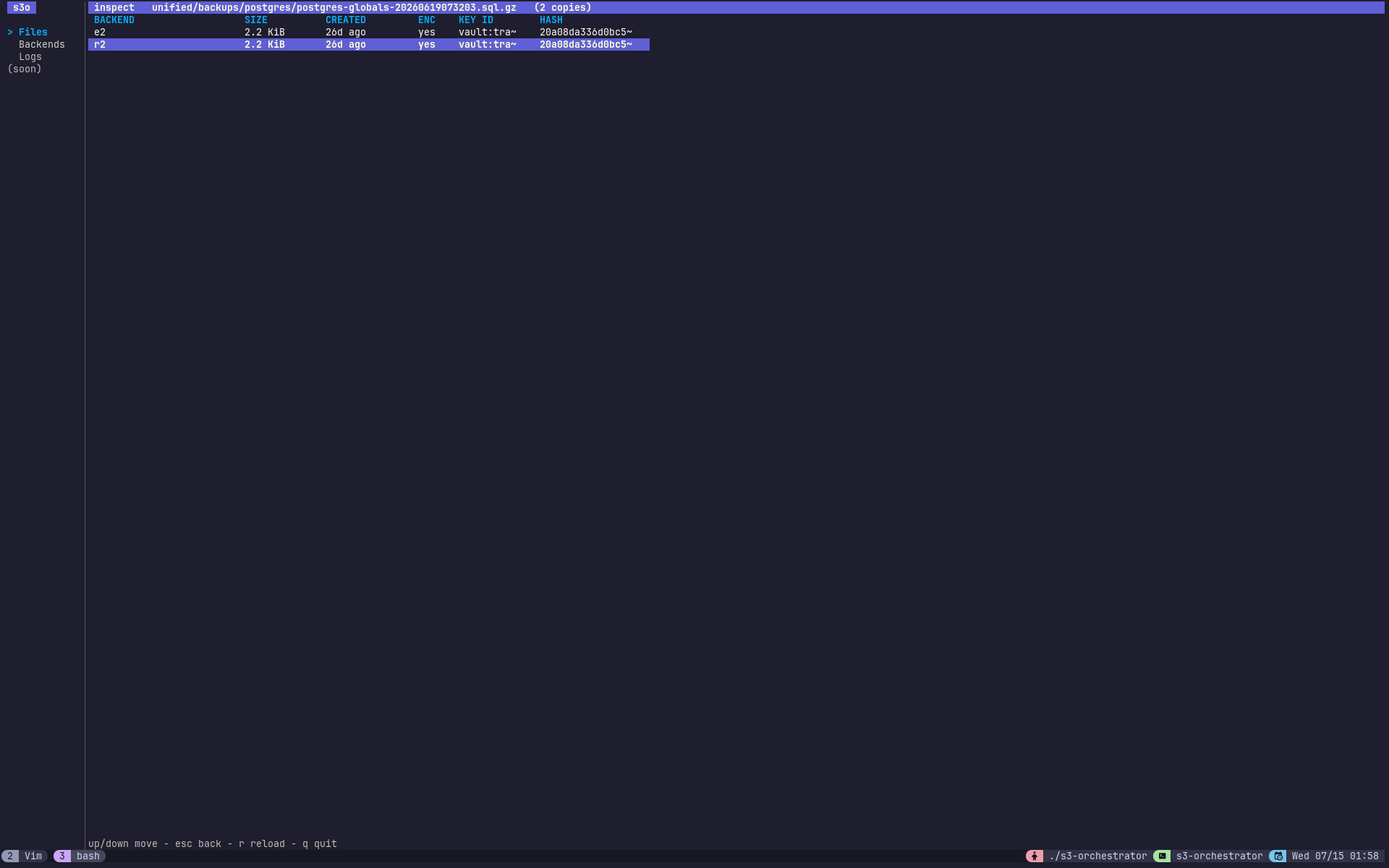 The inspector showing an object’s two backend copies